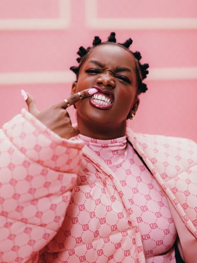 Top 5 influencers do Brasil